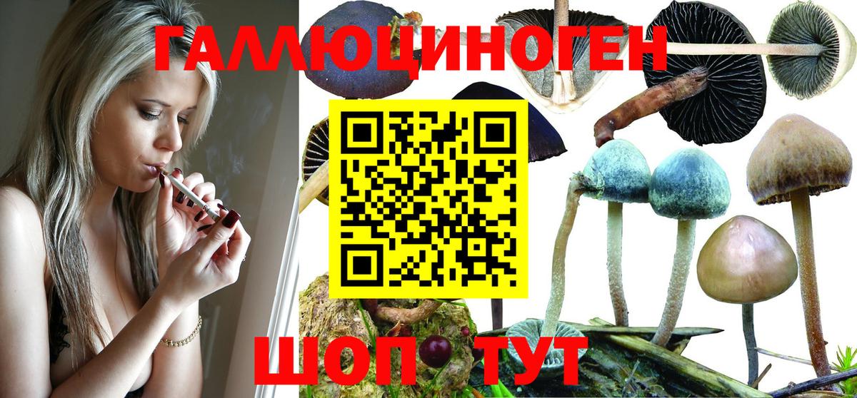 Псилоцибиновые грибы Magic Shrooms  Вход с VPN  Биробиджан 