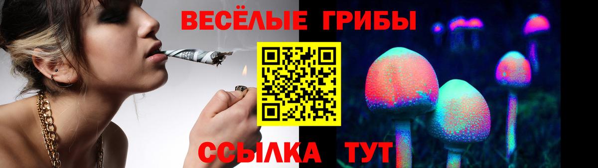 Галлюциногенные грибы Psilocybe Биробиджан
